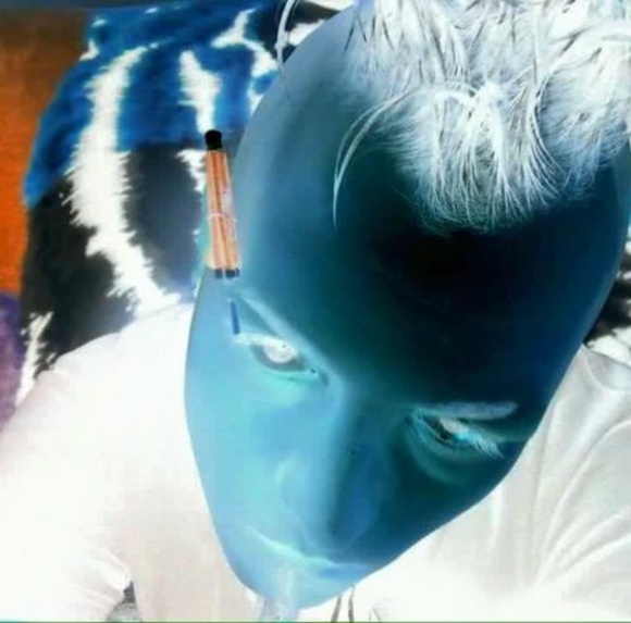 Meet your Posher, Fitzy - Picture 1 of 1